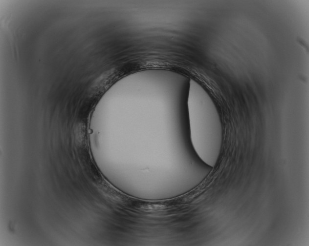 X0000093590361200710151022