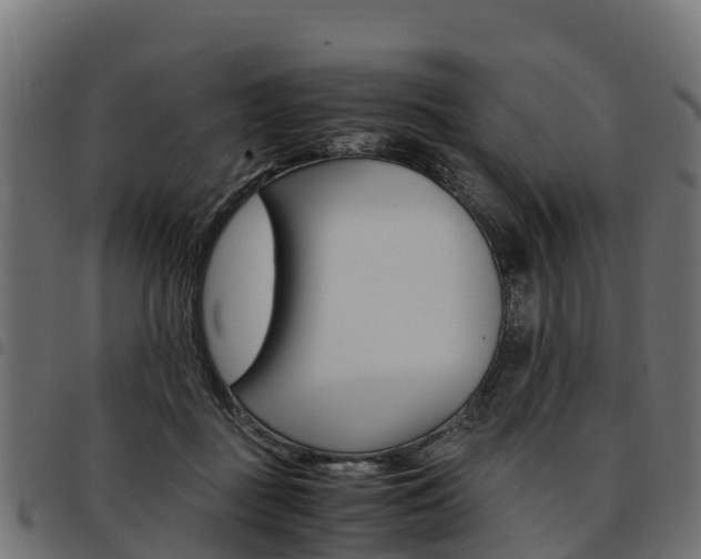 X0000093590363200710151022