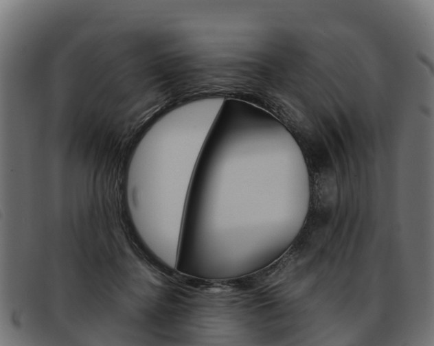 X0000093590364200710151022
