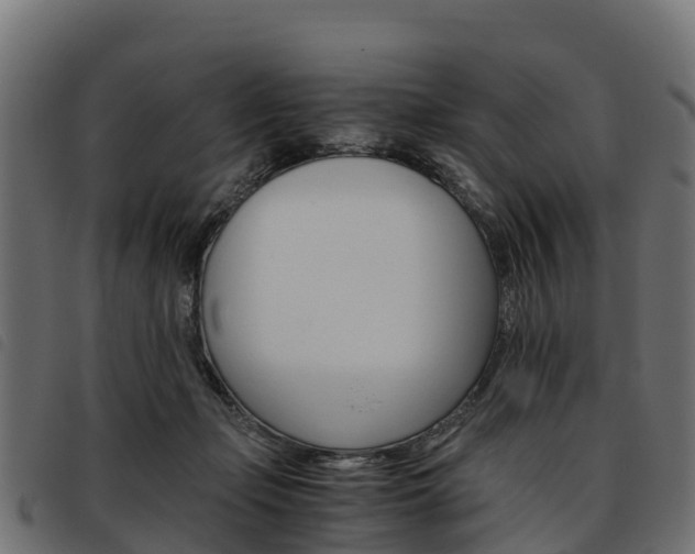 X0000093590365200710151022