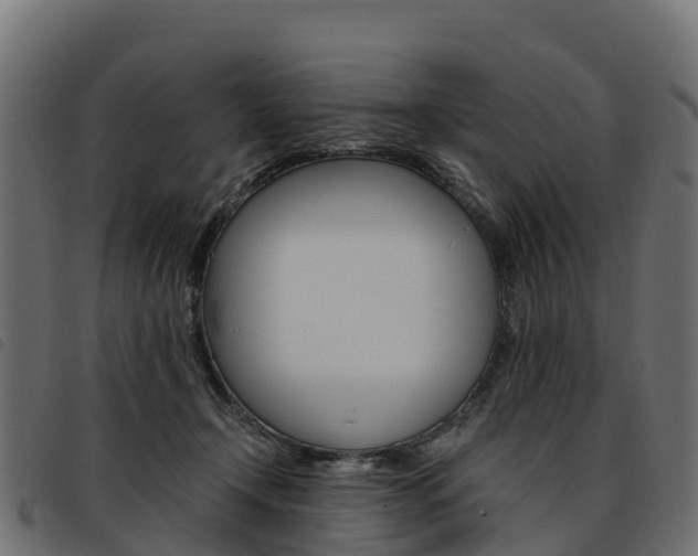 X0000093590366200710151022