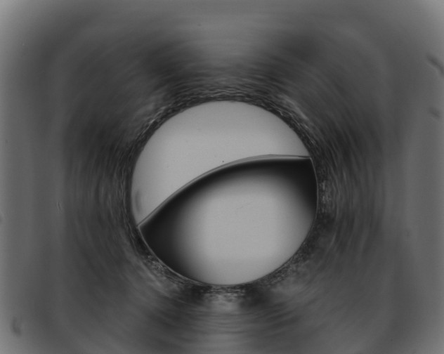 X0000093590368200710151022