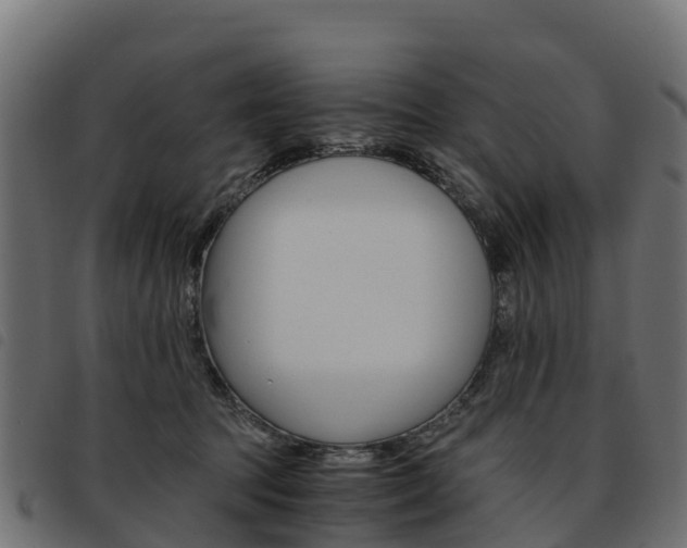 X0000093590369200710151022