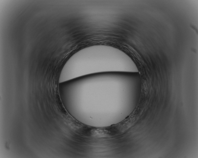 X0000093590372200710151022