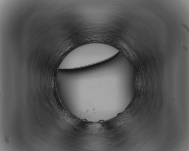 X0000093590374200710151022