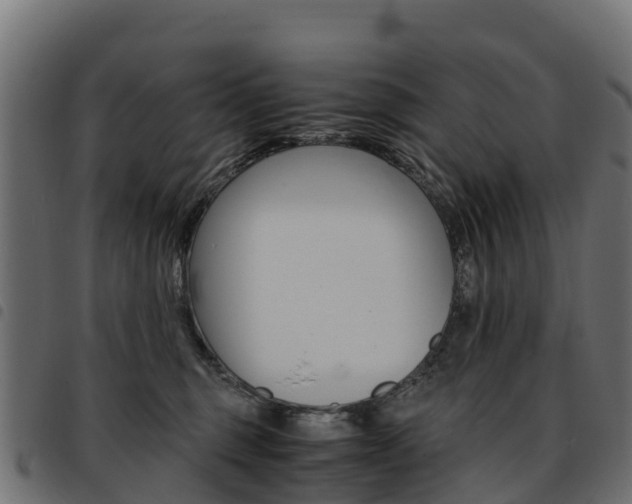 X0000093590375200710151022