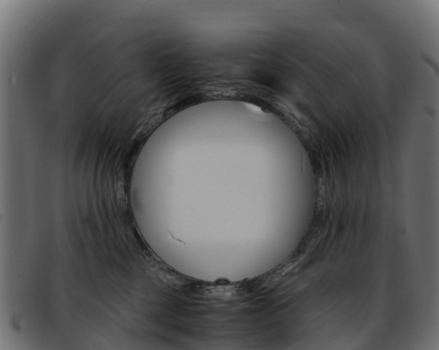 X0000093590377200710151022