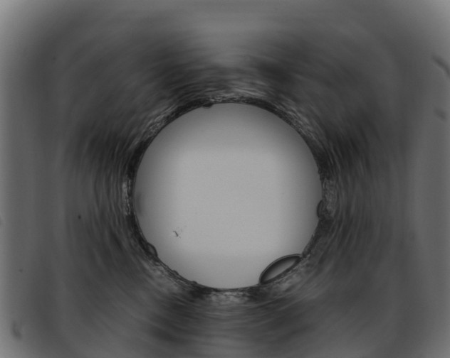 X0000093590378200710151022