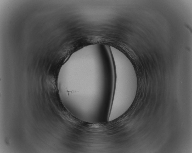 X0000093590380200710151022