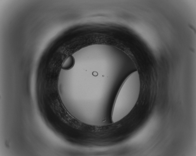 X0000093590383200710151022