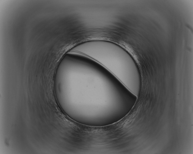 X0000093590385200710151022