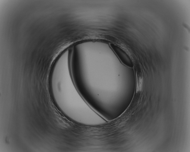X0000093590387200710151022