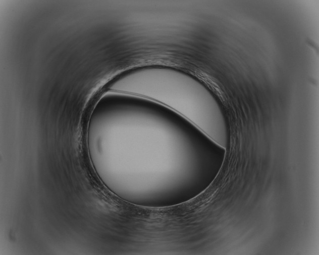X0000093590388200710151022