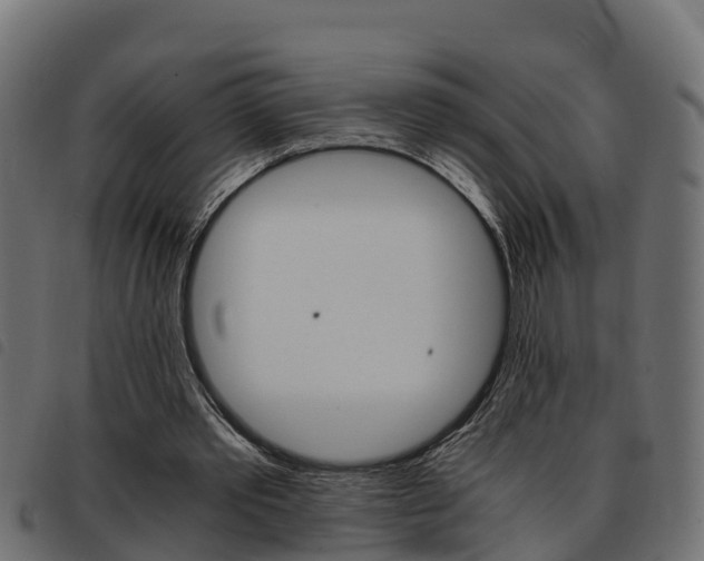 X0000093590389200710151022