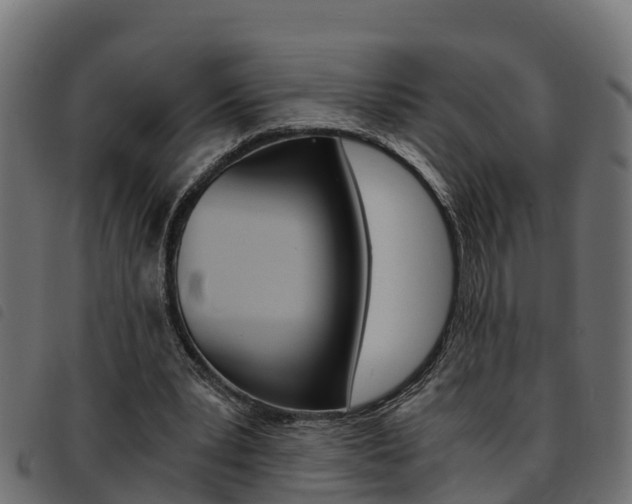 X0000093590391200710151022