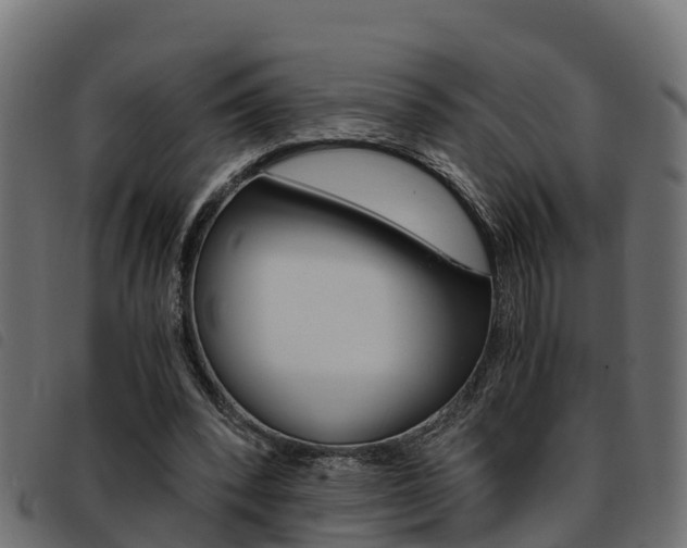 X0000093590392200710151022