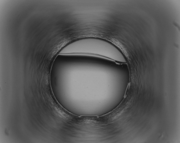 X0000093590393200710151022