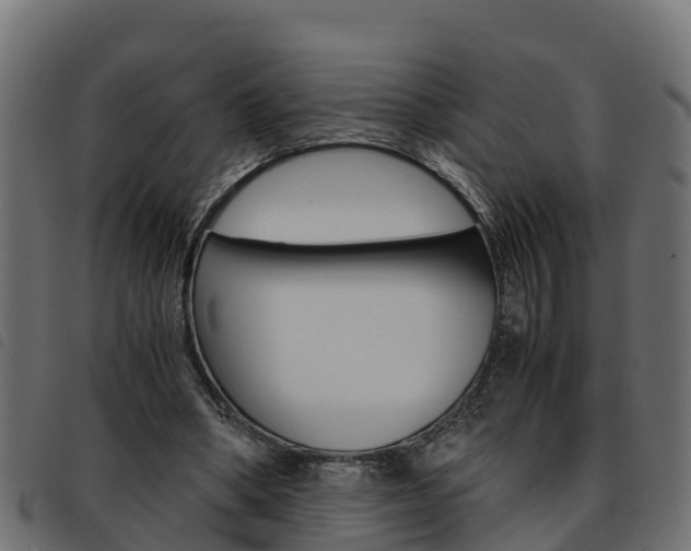 X0000093590394200710151022