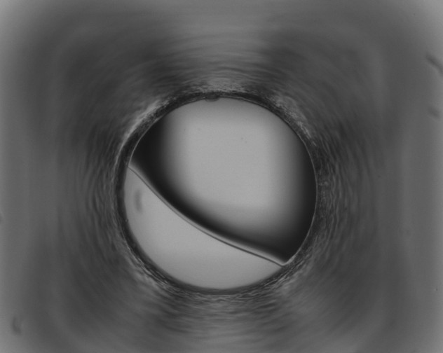 X0000093590395200710151022