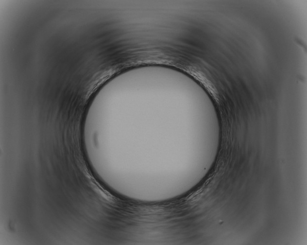 X0000093590397200710151021