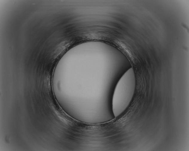 X0000093590398200710151021