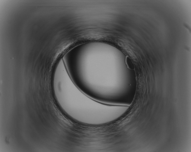X0000093590399200710151021
