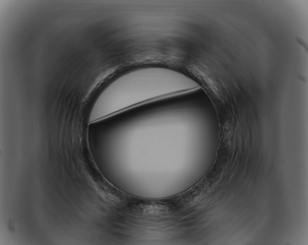 X0000093590400200710151021