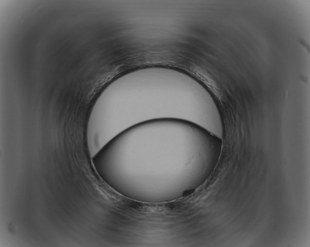 X0000093590401200710151021