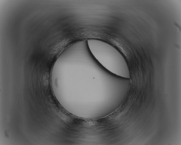 X0000093590402200710151021