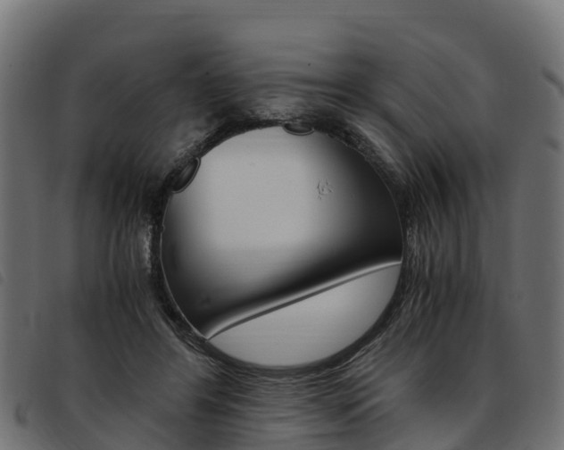 X0000093590404200710151021
