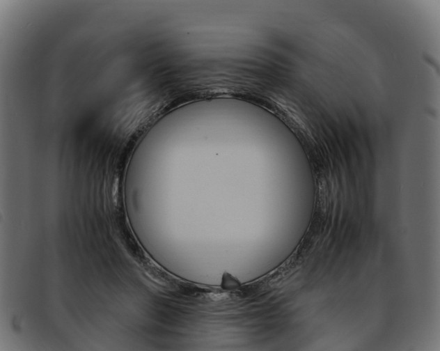 X0000093590406200710151021
