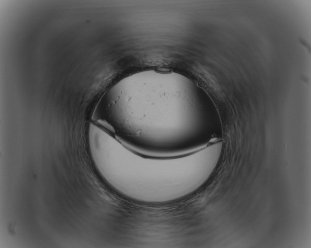 X0000093590407200710151021