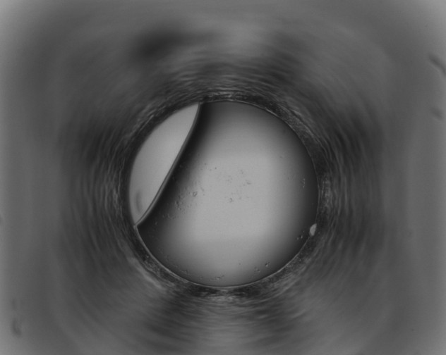 X0000093590408200710151021