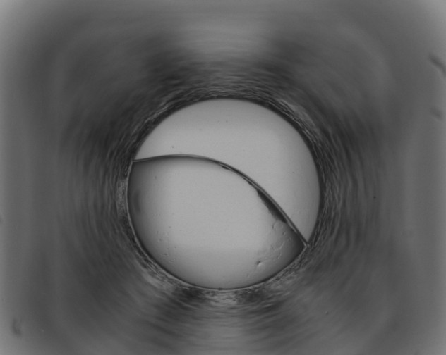 X0000093590409200710151021
