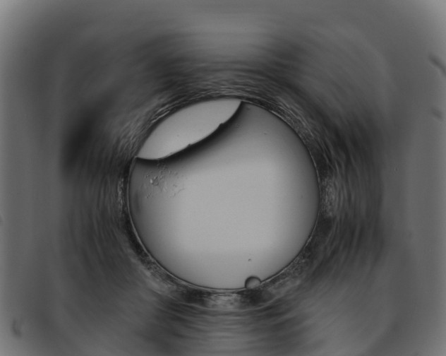 X0000093590410200710151021