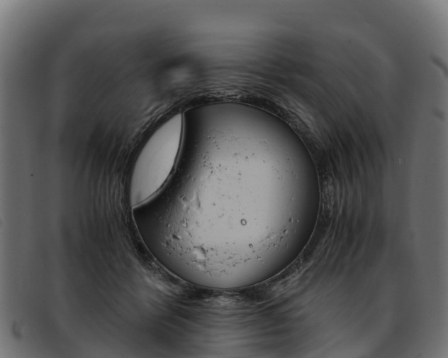 X0000093590412200710151021