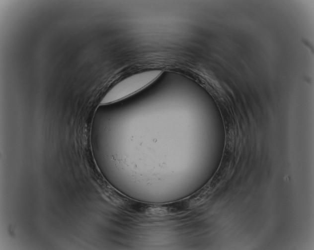 X0000093590413200710151021