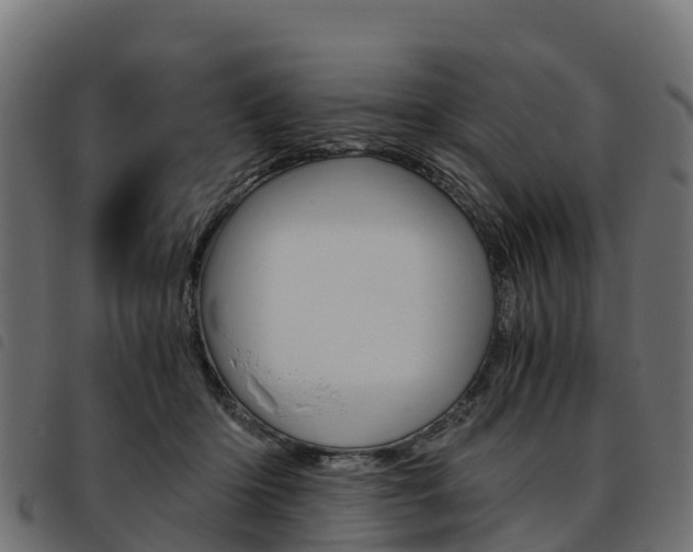 X0000093590414200710151021