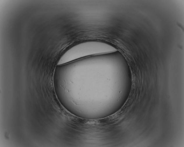 X0000093590415200710151021