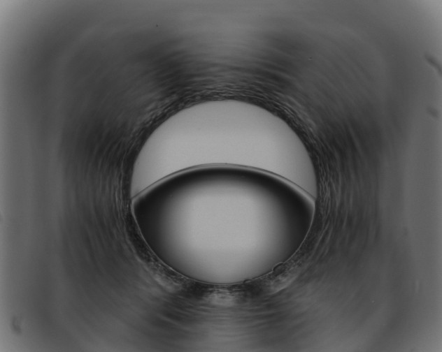 X0000093590416200710151021