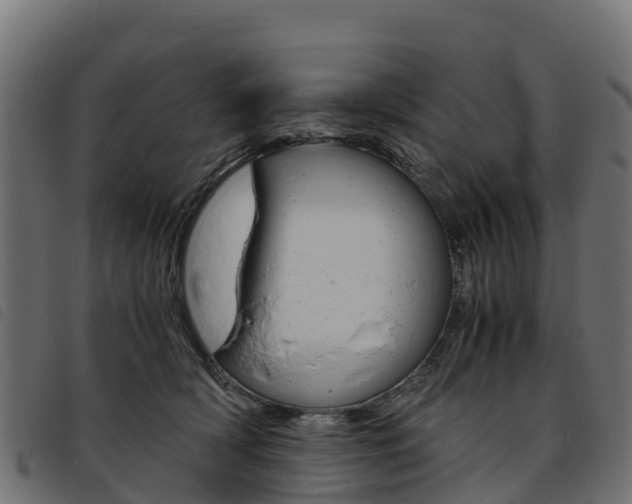 X0000093590418200710151021