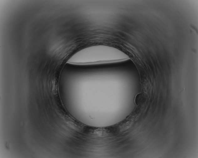 X0000093590420200710151021