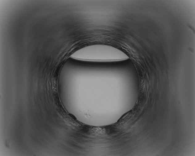 X0000093590421200710151021