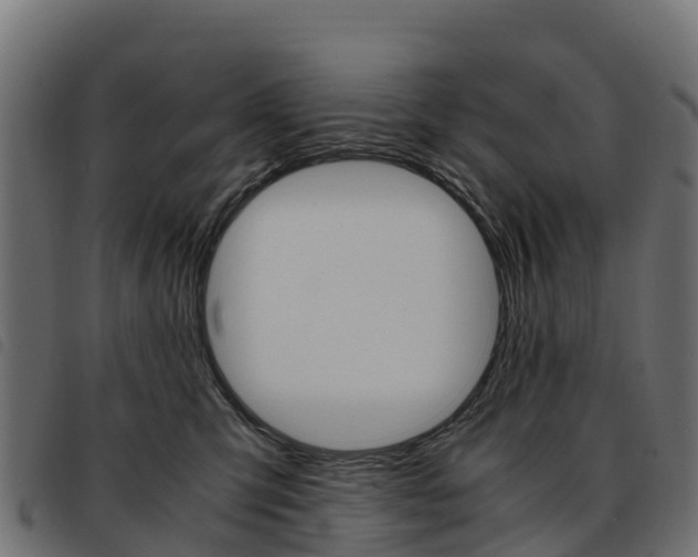 X0000093590423200710151021