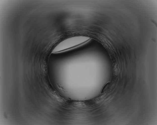 X0000093590424200710151021