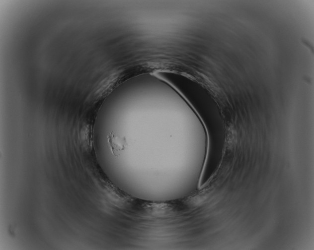 X0000093590428200710151021