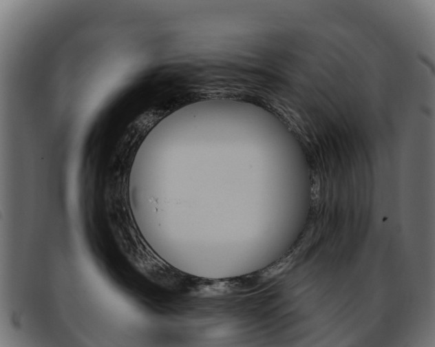 X0000093590430200710151021