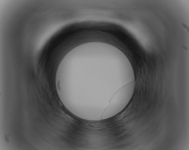 X0000093590431200710151021