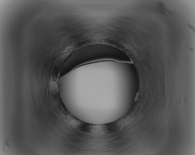 X0000093590432200710151021