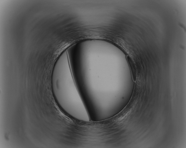 X0000093590433200710151020